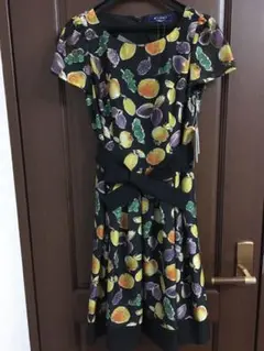 エムズグレイシー 極美品✨ フロントジップ ワンピース カメリア ボーダー 半袖 エムズグレイシー 極美品✨ フロントジップ ワンピース カメリア