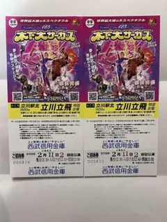 【招待券】木下大サーカス チケット 2/11公演　2枚