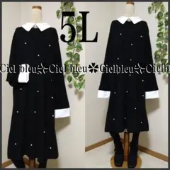 5L★