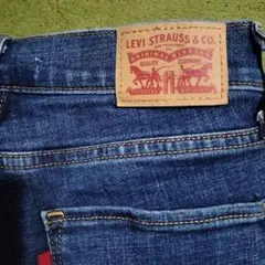 LEVISTRAUSS&GOW 26サイズ L30スキニーデニム