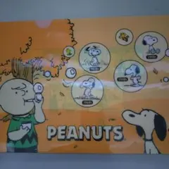 Item thumbnail for item ae34a9a8-c939-4edd-b7d7-bb02bd5525dd