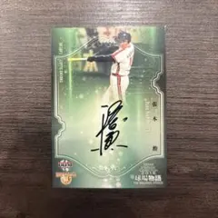 西武ライオンズ 野村克也 3000試合出場達成観戦記念 シリアルナンバー