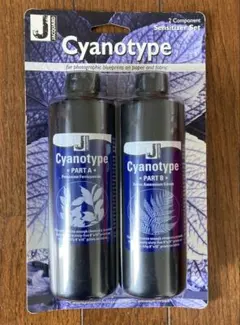 Item thumbnail for item 78da1342-f54d-45eb-a782-732910471495