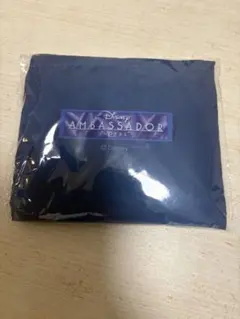 Item thumbnail for item e38a2ed6-0695-428b-b998-ced044cf12a3