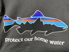 即完売! patagoniaTシャツウォータートラウトオーガニック