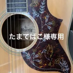 2026年最新】morris ハミングバードの人気アイテム - メルカリ
