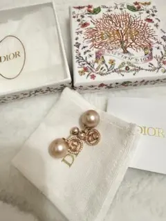 2026年最新】dior 空箱 ピアスの人気アイテム - メルカリ