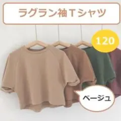ラグラン袖 Tシャツ ベージュ 120