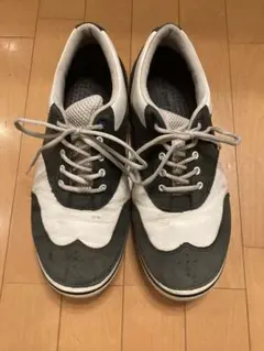 Item thumbnail for item ef5a264b-9a3c-47f3-a6bc-5c4b996b6fde