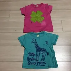 Tシャツ