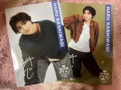 ViVi国宝級イケメンランキング2023  柏木悠　ブロマイド D-8