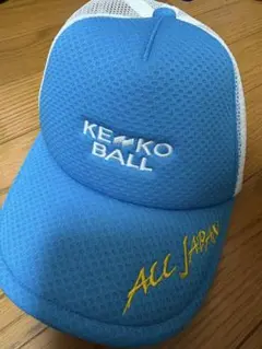 Item thumbnail for item 803cafc5-2e2a-403c-95e7-072c0f98a747