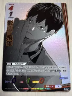 い*く様 ハイキュー　バボカ　影山飛雄　SP