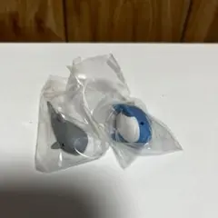 ならぶんです　さめさん2