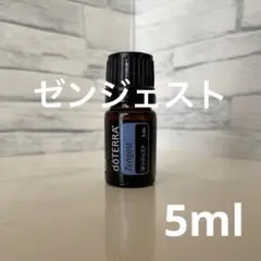 2026年最新】ゼンジェストの人気アイテム - メルカリ