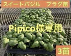 Pipico様 リクエスト 5点 まとめ商品