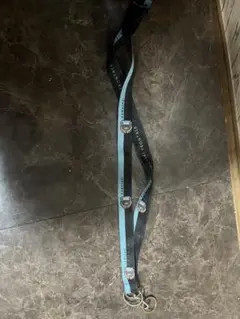 Item thumbnail for item 8ed2d55c-c02d-49c6-b504-61663158006d