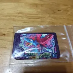 ポケモンフレンダオーダイル 296 ★5