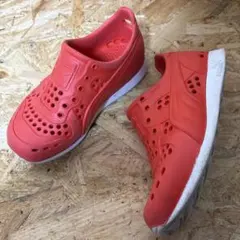 Item thumbnail for item 7d82cfe9-8de1-4431-9926-52585de5f11f