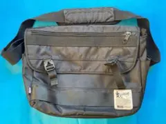 Item thumbnail for item 54a21c17-56e0-429e-ad80-dc18d5ef07ea