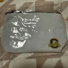 Item thumbnail for item 851d6549-3f51-45ac-82fa-51311f89def9