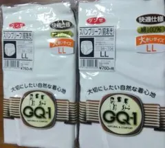 グンゼGQ-1スパンブリーフ（前あき）2枚セット LLサイズ