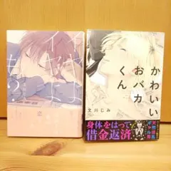 Item thumbnail for item c0781dc1-4a47-4517-97ea-873295e344ef