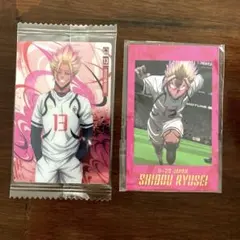 ブルーロック ウエハース5 b35