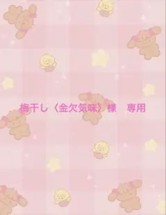 梅干し〈金欠気味〉様　専用ページ