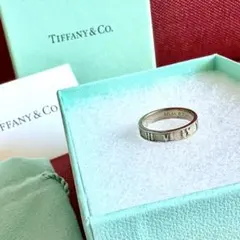 Tiffany & Co. ナローリング 1873 シルバー 925 15号 - メルカリ