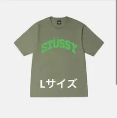 STÜSSY ライトグリーン Tシャツ Lサイズ