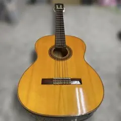 Fernandes GC-12 クラシックギター6弦 Grand Concert - メルカリ