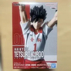 Haikyuu!! Tetsuro Kuroo ポージングフィギュア - メルカリ