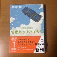 空色ヒッチハイカー