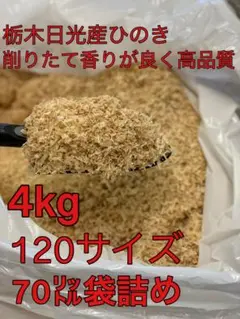 Item thumbnail for item e03765fa-36eb-4925-ba38-a4fe7d136bf9