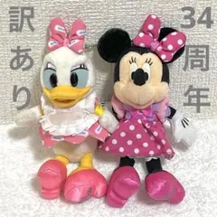 訳あり　34周年　ミニー　デイジー　ぬいぐるみバッジ　2個　まとめ売り