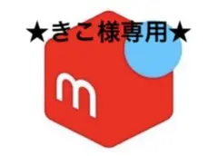 ★きこ様専用★