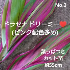 速達！ケイティ様 リクエスト 3点 まとめ商品