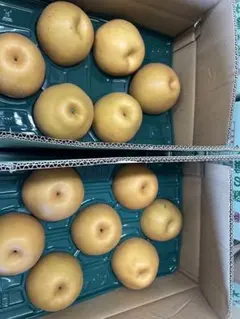 幸水梨 36玉入り 10kg 優品 | Mercari