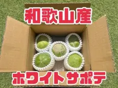 2026年最新】ホワイトサポテの人気アイテム - メルカリ