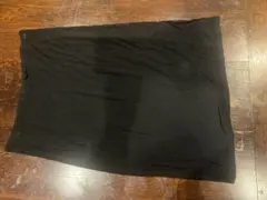 やすだ様　専用ページANN DEMEULEMEESTER スカート
