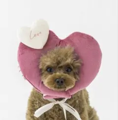 スリーコインズ　ハート顔ハメ