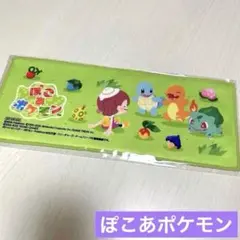 ぽこあポケモン ヤマダデンキ ロングハンドタオル 任天堂 Switch2