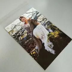 新垣結衣写真★２Ｌ判
