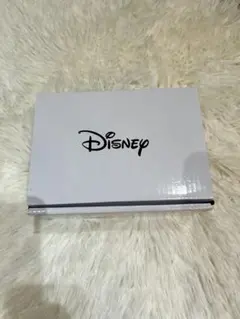 Disney タンブラー 2個セット ステンレス製