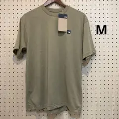 スモールボックスロゴTシャツ M（NT32445）