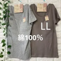 綿100％ カップ付き 半袖(フレンチ袖) 2枚 LL 大きいサイズ モカグレー