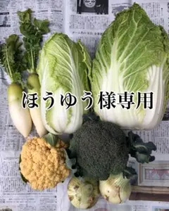 【ほうゆう様専用】