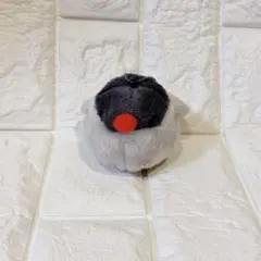 Item thumbnail for item 1dc86633-a542-4694-abb6-7086df6da23a