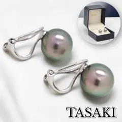 Item thumbnail for item 00077ce8-a4c6-4ede-8417-7de53fed8548